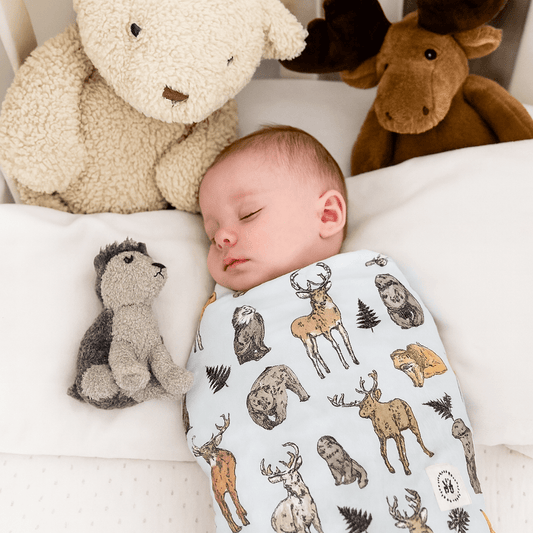 Into The Wild Swaddle
